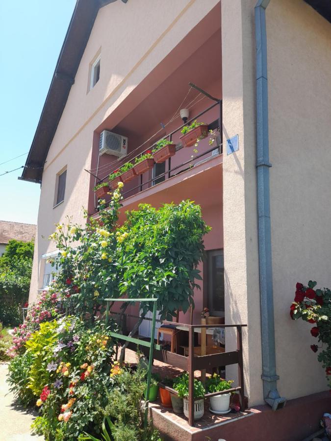 Soba Lavanda Kladovo Esterno foto