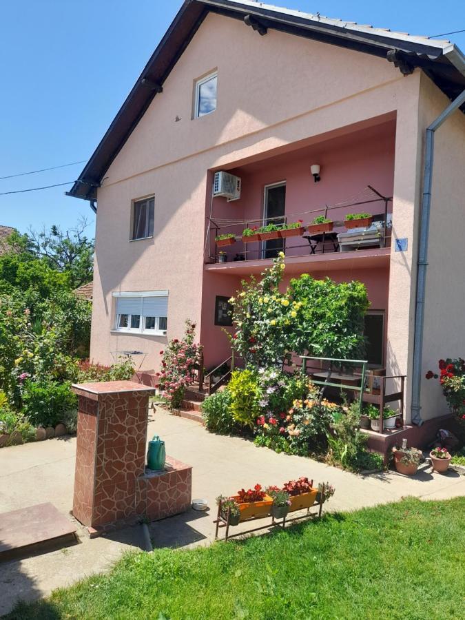 Soba Lavanda Kladovo Esterno foto