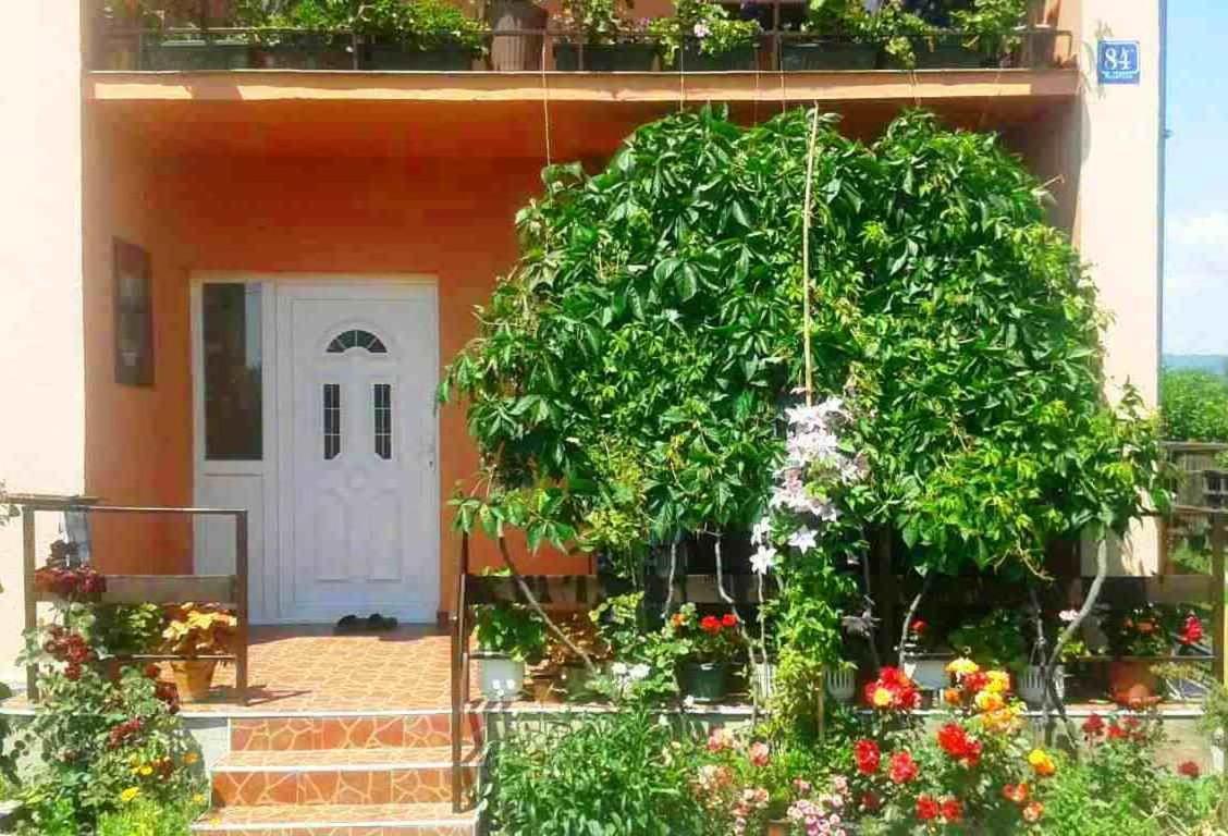 Soba Lavanda Kladovo Esterno foto