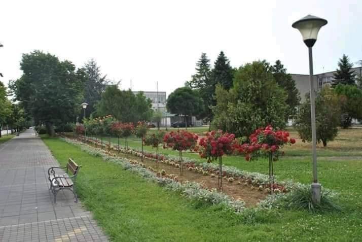 Soba Lavanda Kladovo Esterno foto